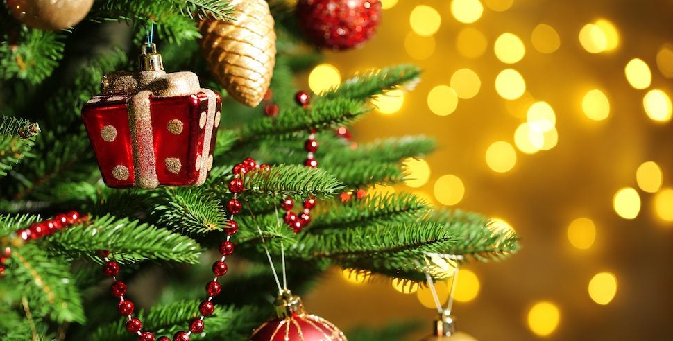 Here's What You Need To Do BEFORE You Bring Home A Christmas Tree