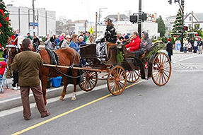 horse-and-carriage rides