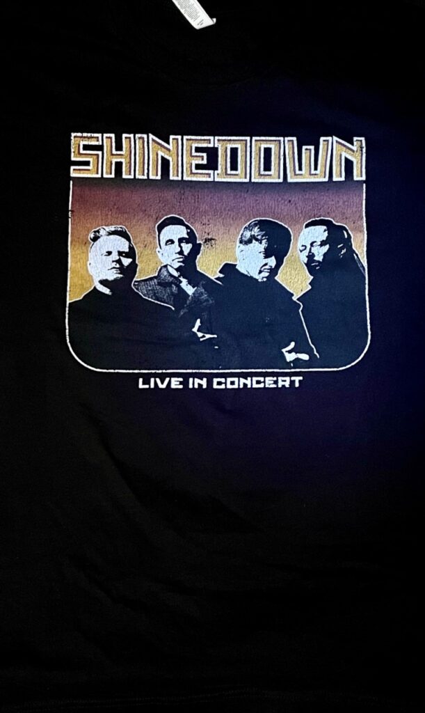 Shinedown Live On Tour