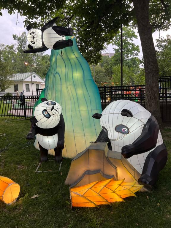 Pandas at Play