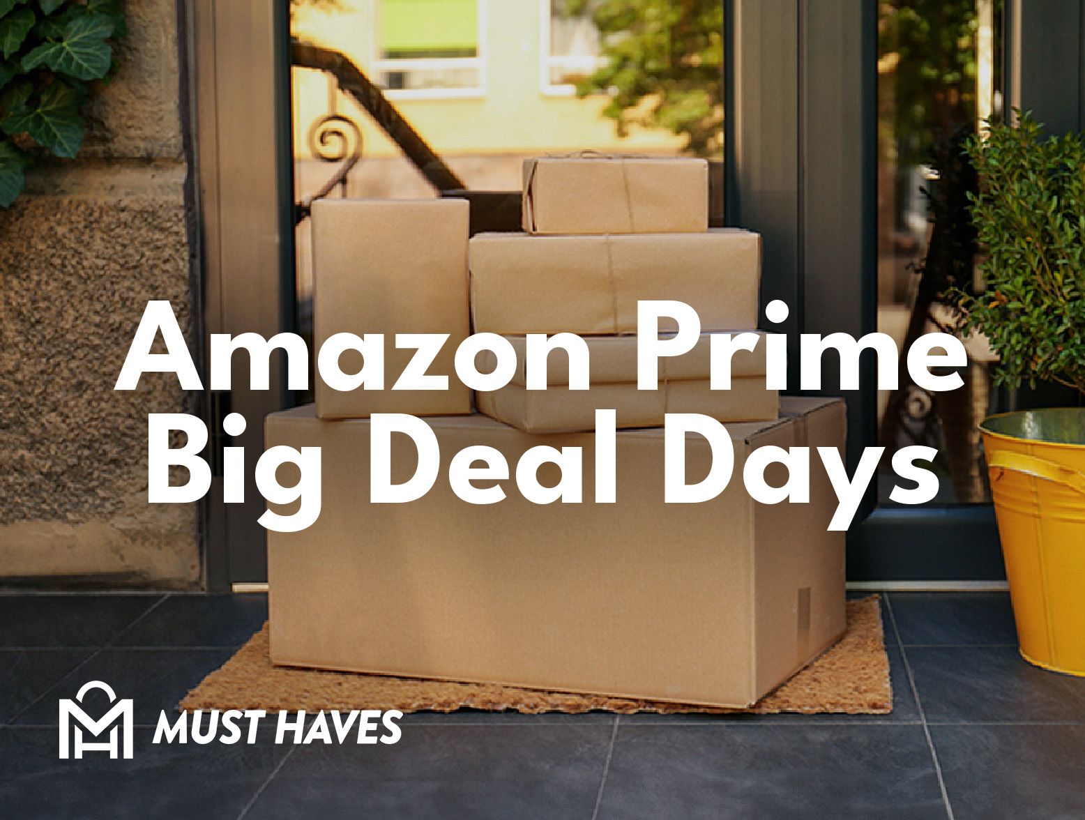 Prime Day 2023 Must Haves