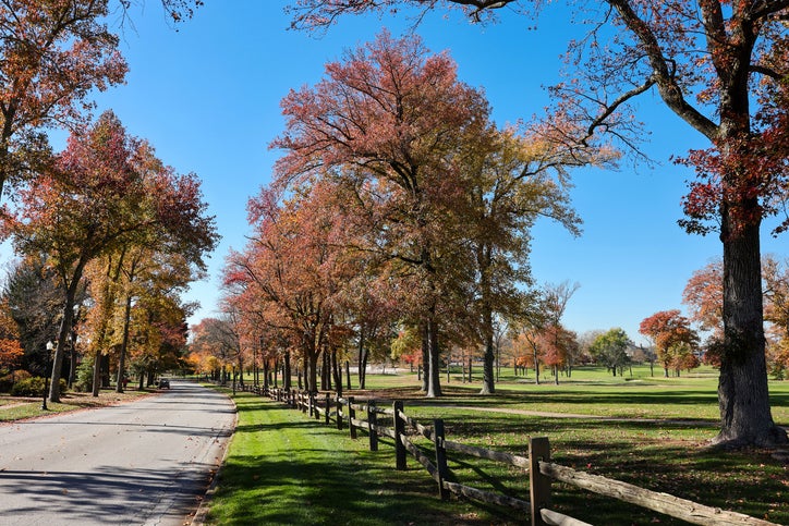 Fall leaves changing color in Wilmington, Delaware 